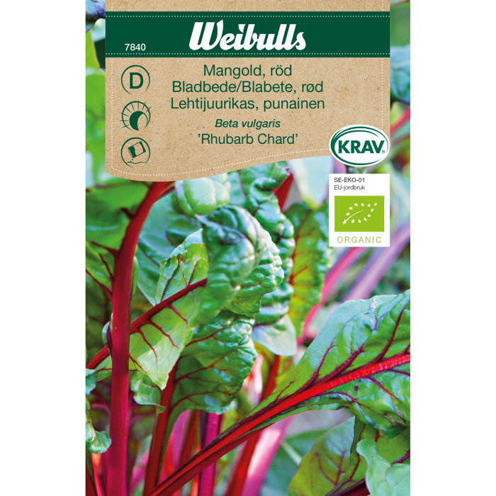 Bladbede 'Rhubarb Chard' økologisk